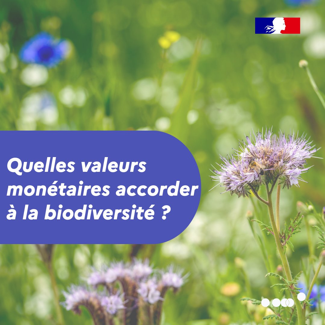 Quelles valeurs monétaires accorder à la biodiversité ?