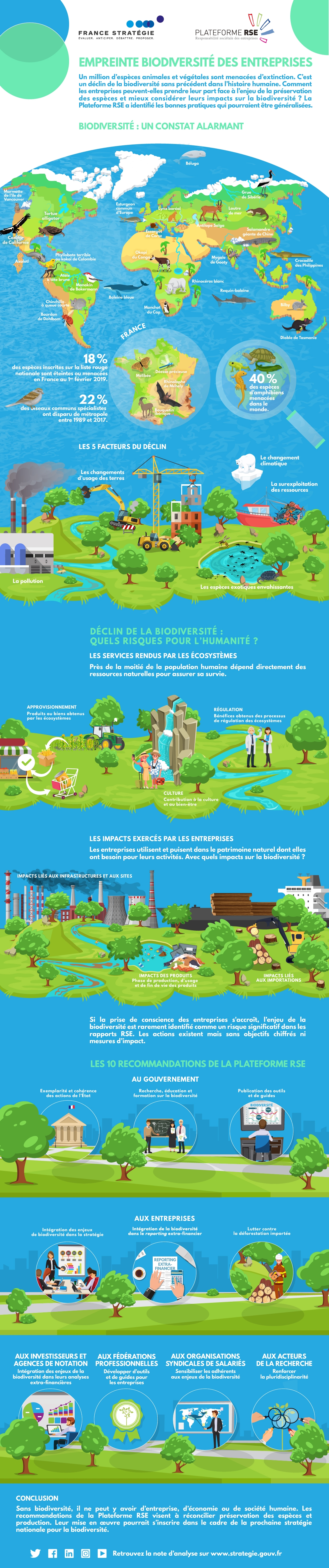 Infographie "Empreinte biodiversité des entreprises"